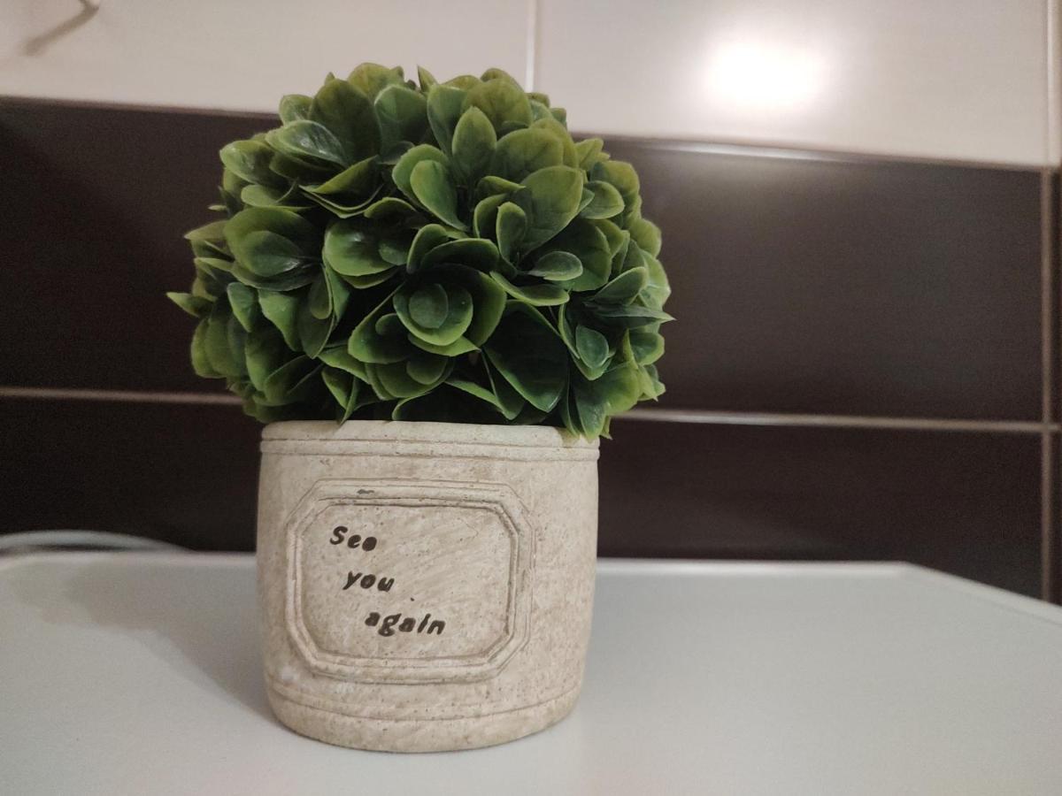 Avantgarden1 .Apartament Lux Braşov Eksteriør billede